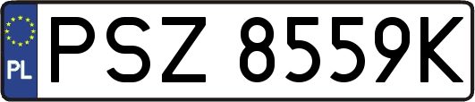 PSZ8559K