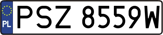 PSZ8559W