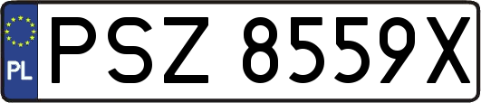 PSZ8559X