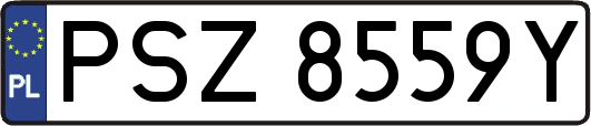 PSZ8559Y