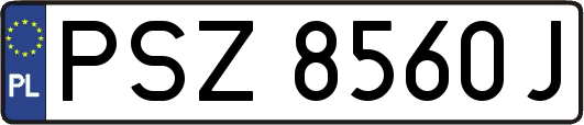 PSZ8560J