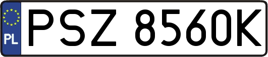 PSZ8560K