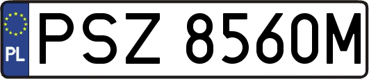 PSZ8560M
