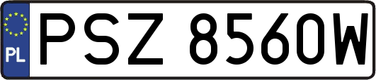 PSZ8560W