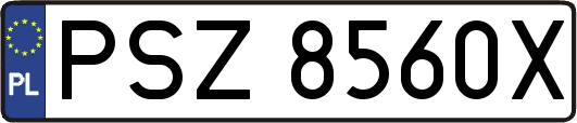 PSZ8560X