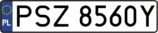 PSZ8560Y