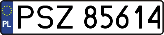 PSZ85614
