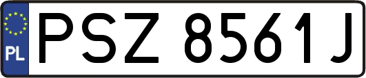 PSZ8561J