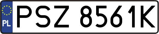 PSZ8561K