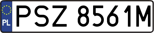 PSZ8561M