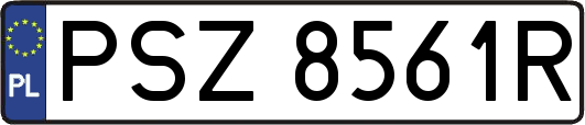 PSZ8561R