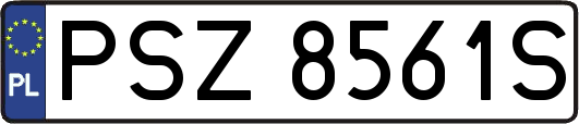 PSZ8561S
