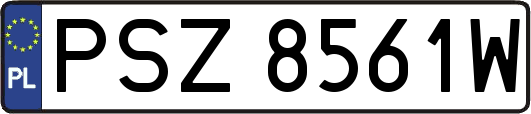 PSZ8561W