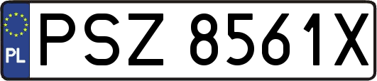 PSZ8561X