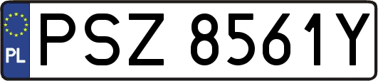 PSZ8561Y