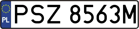 PSZ8563M