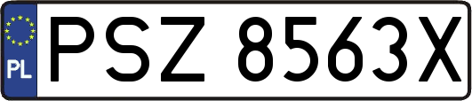 PSZ8563X