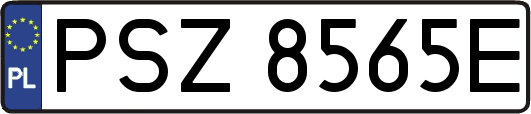 PSZ8565E