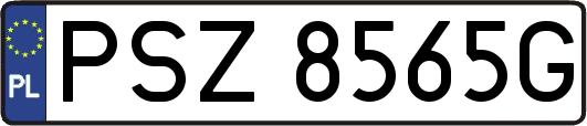 PSZ8565G