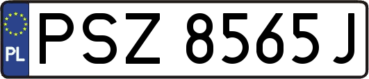 PSZ8565J