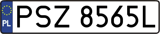 PSZ8565L