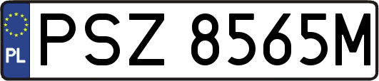 PSZ8565M