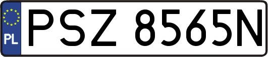 PSZ8565N