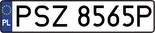 PSZ8565P