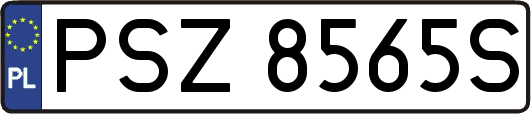 PSZ8565S