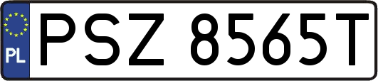 PSZ8565T