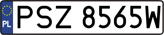 PSZ8565W