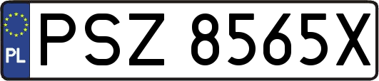PSZ8565X