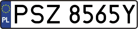 PSZ8565Y