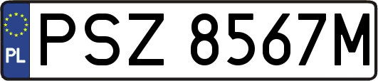 PSZ8567M