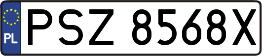 PSZ8568X