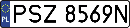 PSZ8569N