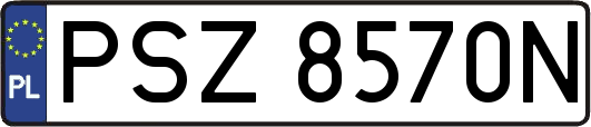 PSZ8570N
