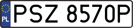 PSZ8570P