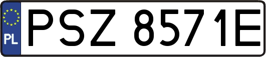 PSZ8571E