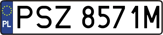 PSZ8571M