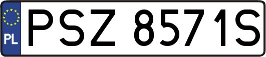 PSZ8571S