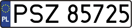 PSZ85725