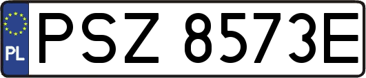 PSZ8573E
