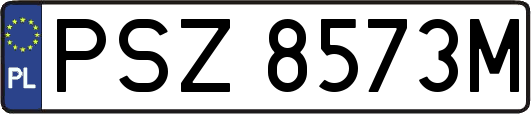 PSZ8573M