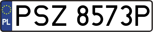 PSZ8573P