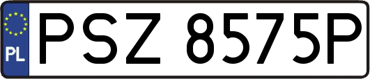 PSZ8575P