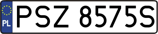 PSZ8575S