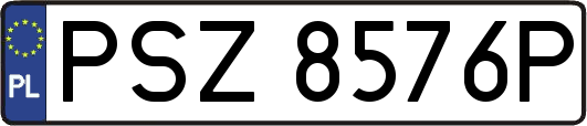 PSZ8576P