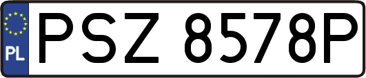 PSZ8578P