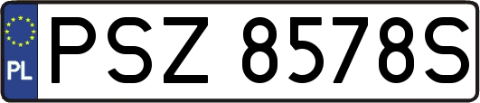 PSZ8578S